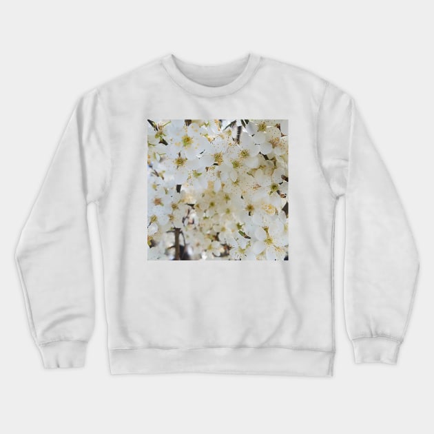 White Plum Blossom Background Crewneck Sweatshirt by DesignMore21